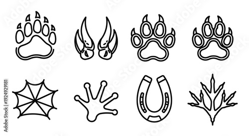 Collection of animal tracks and symbols