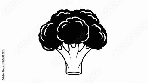 Black and white cauliflower vegetable illustration.