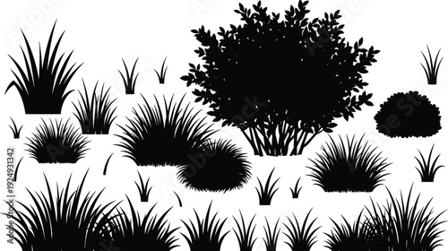 Garden plants and bush silhouette collection, black grass shrubs and tree vector illustration isolated on white background