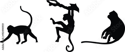 Monkey silhouette set, primate animal in different poses isolated vector illustration on white background