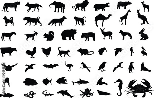 Animal silhouette set, wild farm and sea animals collection isolated vector illustration on white background