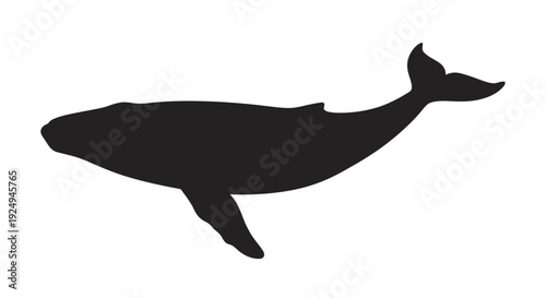 Dark silhouette graphic representing a large marine mammal, a humpback whale swimming horizontally against a solid white backdrop.