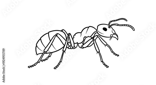 Ant illustration graphic black and white insect design isolated