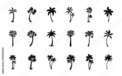 Collection of stylized palm tree silhouettes in various poses and orientations isolated on white background, Vector, illustration
