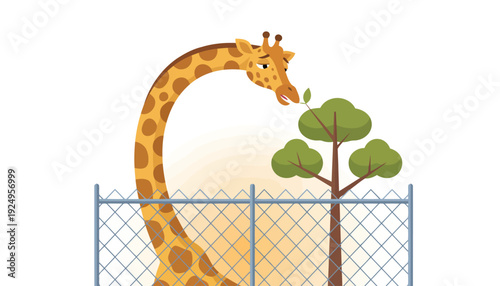 Tall graceful giraffe eating green leaves from a small tree.