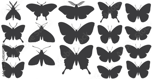 Diverse silhouettes of black and white butterflies and moths in a grid pattern isolated on white background, Vector, illustration