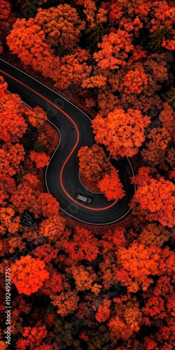 Scenic Autumn Road Curving through Vibrant Orange and Red Trees