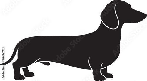 Dachshund Dog Black Silhouette Vector,Sausage Dog Side View Isolated Illustration