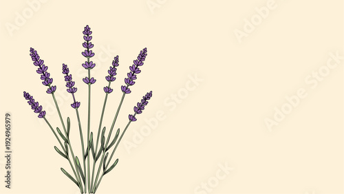 Charming Hand Drawn Lavender Bouquet Illustration on Soft Cream Background with Copy Space