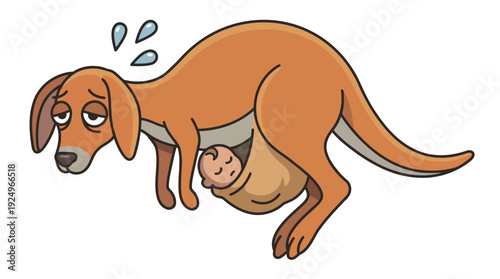 Tired Kangaroo Carrying Baby Joey in Pouch Illustration.