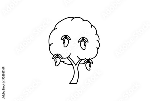 Minimalist Mango Tree Black and White Outline Icon Vector Isolated on White
