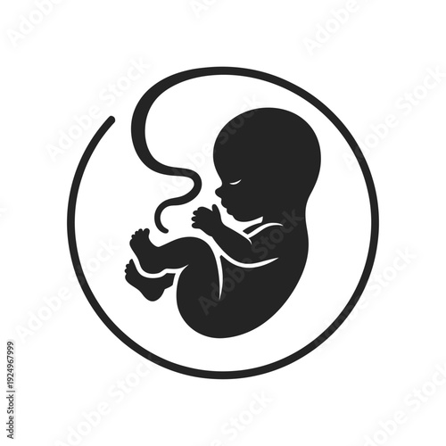 Black and white illustration of a fetus inside an amniotic sac isolated on white background, Vector, illustration
