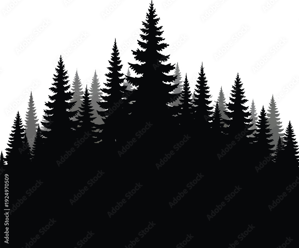 Fototapeta premium Silhouette Forest Landscape with Pine Trees on White Background