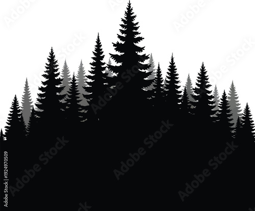 Silhouette Forest Landscape with Pine Trees on White Background