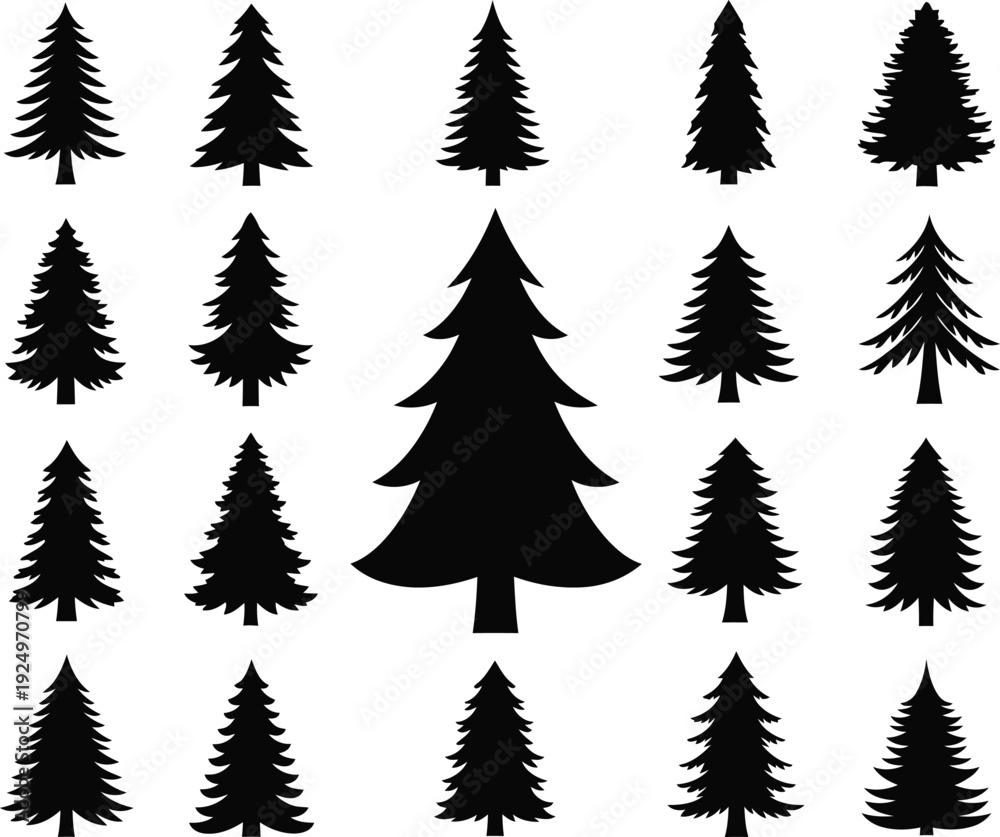 Fototapeta premium Group of Pine Trees Silhouettes Isolated on White Background