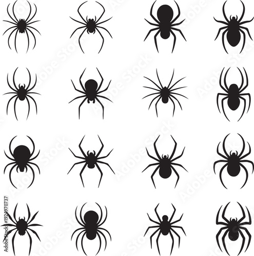 spider silhouettes