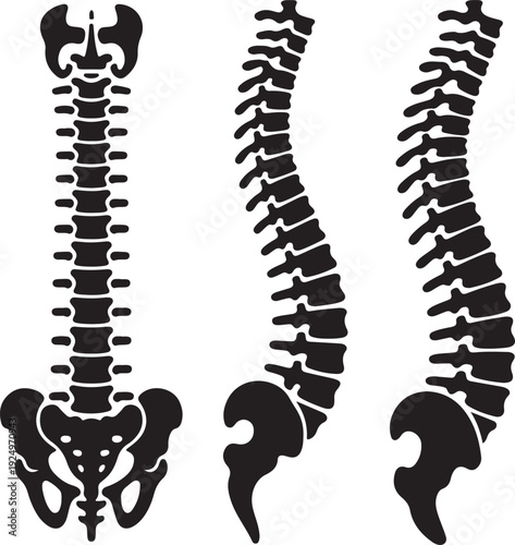 Spine icon set. Simple set of spine vector icons for web design on white background