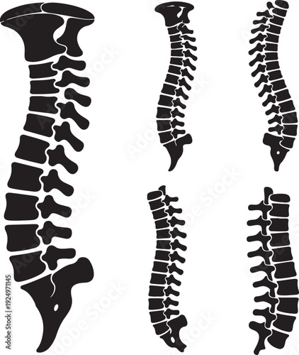 Spine icon set. Simple set of spine vector icons for web design on white background