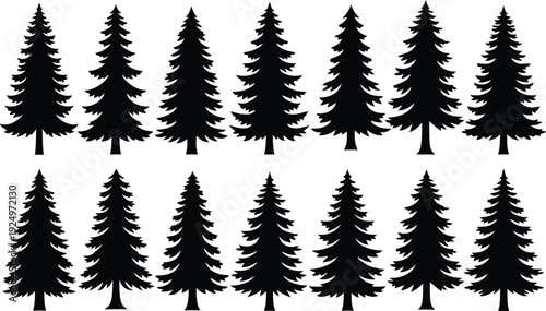 Set of Pine Tree Silhouettes in Two Rows on White