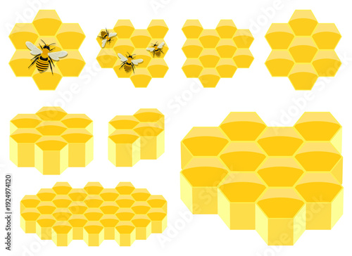 Honeycomb sections with bees and without bees on a white background.