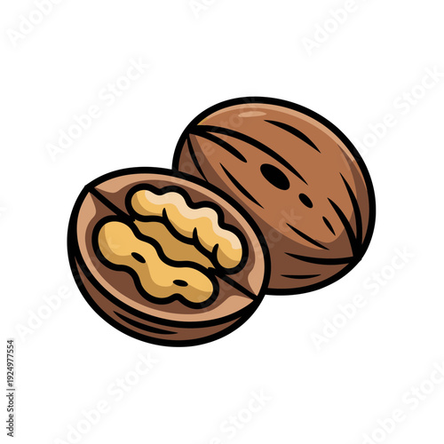 A vector graphic illustration of a whole and halved walnut on a white background
