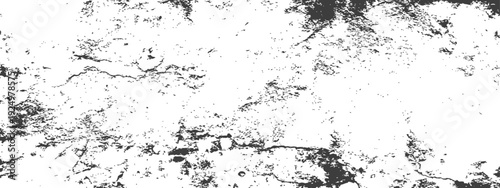 Abstract Grunge Texture Overlay Black and White Gritty Surface Effect