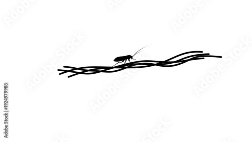 bug on the wire, black isolated silhouette