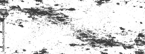 Grunge Distressed Texture Overlay in Black and White