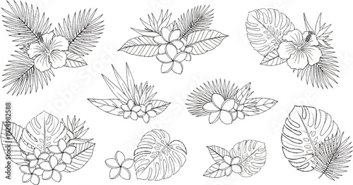 Tropical floral arrangements with palm leaves and hibiscus, sketch