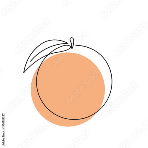 Minimalist Peach Line Art