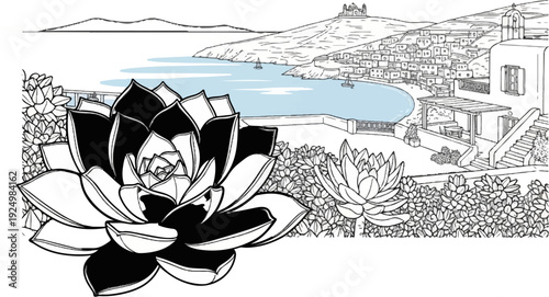 Coastal town with succulent plants and clear blue water