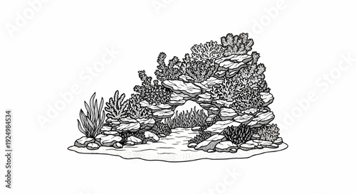 Detailed black and white illustration of a rocky aquatic environment with lush plant growth