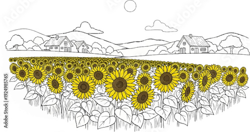 Vast field of blooming sunflowers with distant homes under a clear sky
