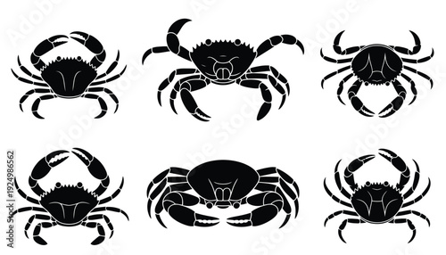 Six stylized black silhouettes of crabs in a grid formation against a white background isolated on white background, Vector, illustration