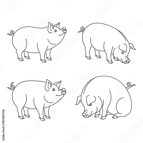 Four different line drawing pigs in various poses and expressions icon