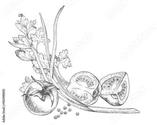 Composition of green onion, tomatoes, parsley and black pepper. For packaging design, cards, cover, prints, product labels and fabric.