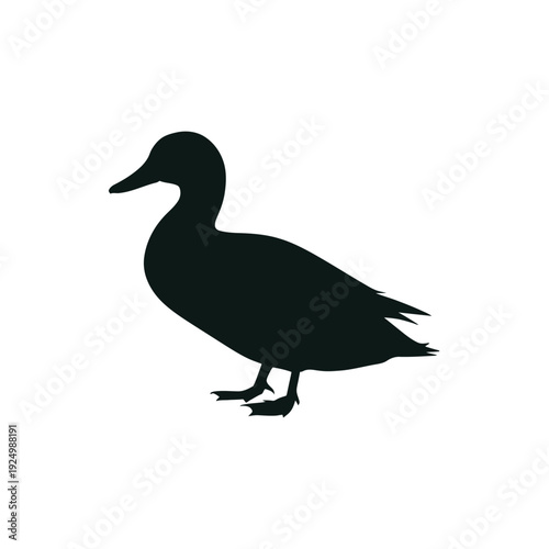 Silhouette of a duck standing calmly on a plain background isolated on white background, Vector, illustration