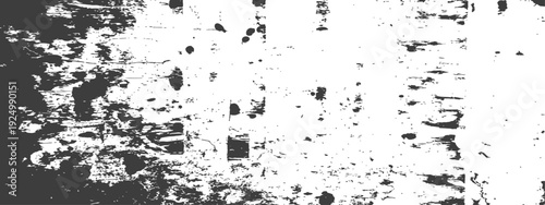 Grunge Distressed Black and White Texture Vector Overlay Background