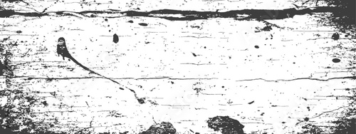 Distressed Black and White Grunge Texture with Cracks and Ink Splatters Vector Overlay Background