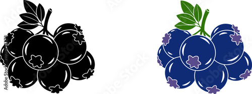 Blueberry Fruit Silhouette and Colored Vector Illustration Isolated on transparent Background