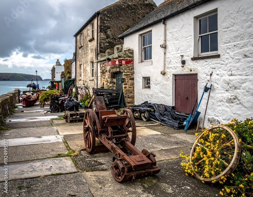 Rustic coastal scene featuring old buildings, cannon, and vibrant yellow flowers, capturing history.