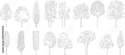 Collection of black and white line trees line botanical