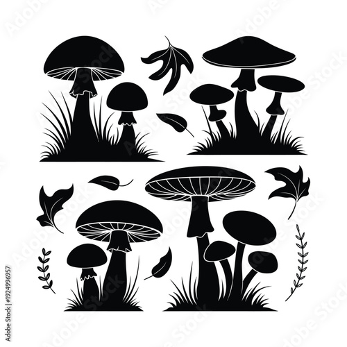 Black and white illustration of diverse mushrooms and forest elements in a stylized format isolated on white background, Vector, illustration