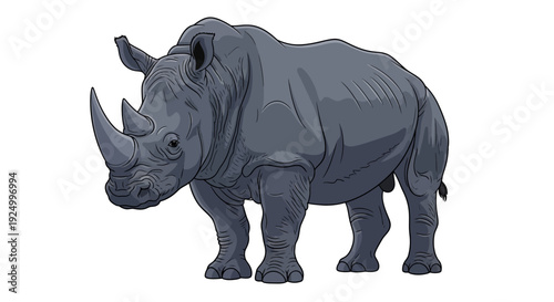 An illustration of a large grey rhinoceros standing on a white background.