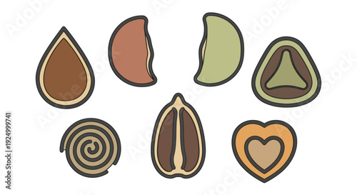 Illustration of various seed shapes in cartoon style.