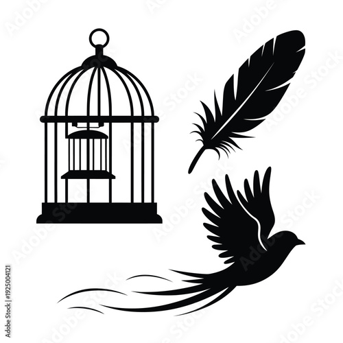 A black and white birdcage with a feather and a peacock illustration isolated on white background, Vector, illustration