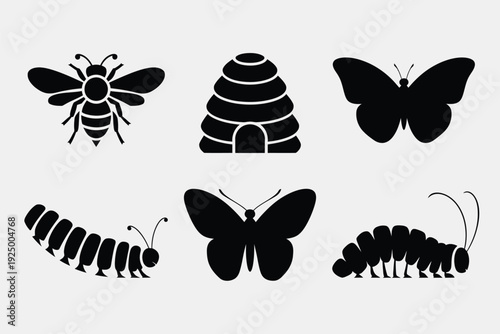 Life cycle and types of pollinating insects illustrated in black and white silhouettes isolated on white background, Vector, illustration