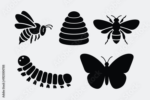 Life cycle and types of pollinating insects and bees isolated on white background, Vector, illustration