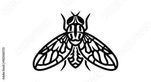 A simple black and white illustration of a cicada with its wings spread out.
