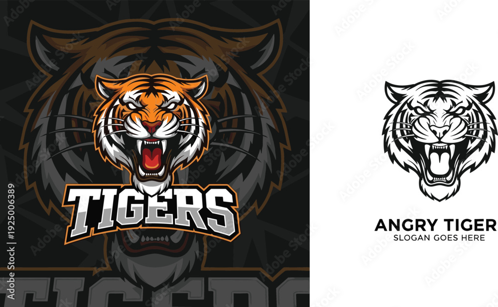 Fototapeta premium Angry Tiger Vector Illustration with Bold Typography and Graphic Design